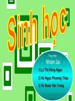 bài 39: tìm hiểu thành tựu chọn giống vật nuôi vàcây trồng ( gà)