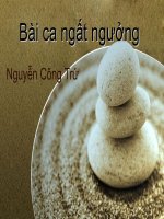 Bài Ca Ngất Ngưởng