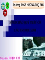 bài 48: bộ thú huyệt - thú túi