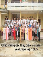 căn bậc hai của số phức