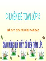 Diện Tích hình tam giác