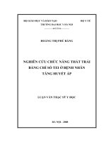 Nghiên cứu chức năng thất trái bằng chỉ số tei ở bệnh nhân tăng huyết áp