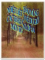 Toan 4: Chia mot tong cho 1 so