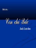 Tiết 156 - Con chó Bấc