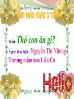 VH. Thỏ con ăn gì