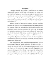 Nghiên cứu đặc điểm siêu âm Doppler năng lượng khớp cổ tay bệnh nhân viêm khớp dạng thấp