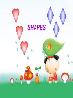 Shapes