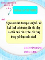 nuoi cay mo thuc vat