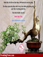 101 hình nền cho bài giảng.