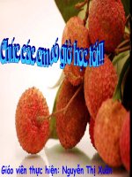 Tiêt16:Kĩ thuật trồng cây vải