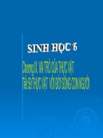 Thực vật đối với đời sống con người