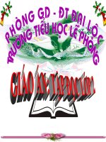 TV2- Cây xoai cua ông em