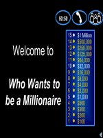 who is the millionaire?