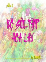 Bộ sưu tập hoa lan