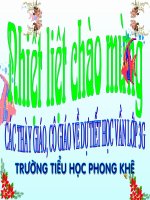 Luyện tyừ và câu