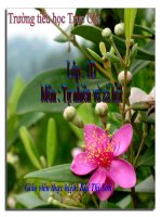 Trời nắng - trời mưa