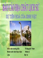 sự phát triển của sinh giới qua các đại địa chất