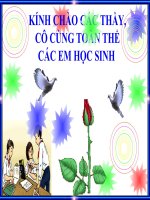 Đặc điểm chung và vai trò của thân mềm