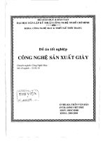 Công nghệ sản xuất giày