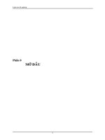 Tối ưu số cho bài toán tối ưu một mục tiêu