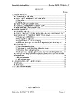 skkn ứng dụng một số kĩ thuật kiểm tra - đánh giá trong dạy học lịch sử ở trường thpt tĩnh gia 5