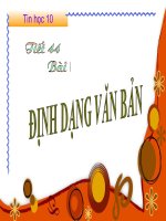 Bài 16 Tiết 44 Tin 10