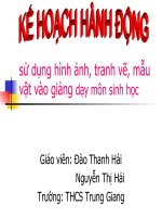 KẾ HOẠCH HÀNH ĐỘNG - TẬP HUẤN INTEL (HOT)