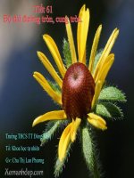 Độ dài đường tròn..,