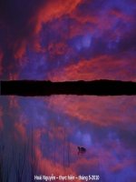 Thiên Nhiên Kỳ Thú