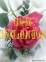 tt nguyen tu-tt phan tu