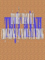 Thành tựu chọn giống