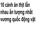 đấu tranh sinh tồn