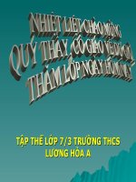 Tuần 10. tiết 38