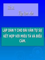 Làm dàn ý Văn tự sự kết hợp với miêu tả và biểu cảm