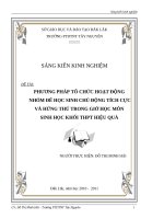sáng kiến kinh nghiệm skkn phương pháp tổ chức hoạt động nhóm để học sinh chủ động tích cực và hứng thú trong giờ học môn sinh học khối thpt hiệu quả