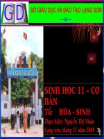 Bài 18 Tuần hoán máu Sinh 11