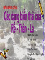 biến dạng Rễ, Thân ,Lá