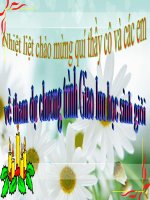 rung chuong vang lop 4