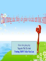 bai 29. CAU TRUC CAC LOAI VIRUT