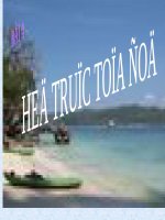 Hệ trục tạo độ lớp 10