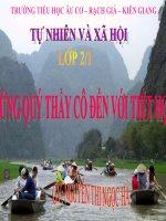 TNXH:Tuần 32.Mặt Trời và phương hướng