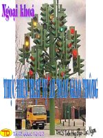 Ngoai khoa: Giáo dục ATGT