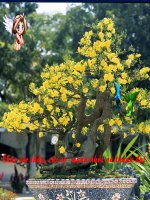 toan phep tru trong pham vi 1000