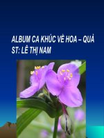 ALBUM CA KHÚC VỀ CÁC LOÀI HOA (tt)