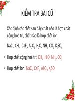 HOA TRI VA SO ÕI HOA