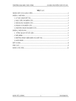 Bài báo cáo môn kinh tế lượng đề tài Phân tích các yếu tố ảnh hưởng đến lợi nhuận của việc sản xuất lúa tại xã Hiếu Tử