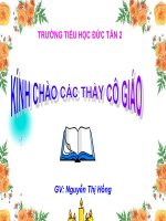 Con chim chien chien