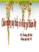 Trau doi von tu- Lop 9.ppt