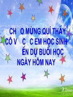 Tiết 117: Tác gia Nguyễn Du