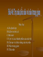 Bài 46.Trụ não,não trung gian và tiểu não